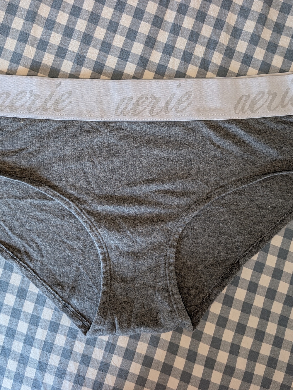 aerie Gray Cotton Briefs with White Logo Waistband